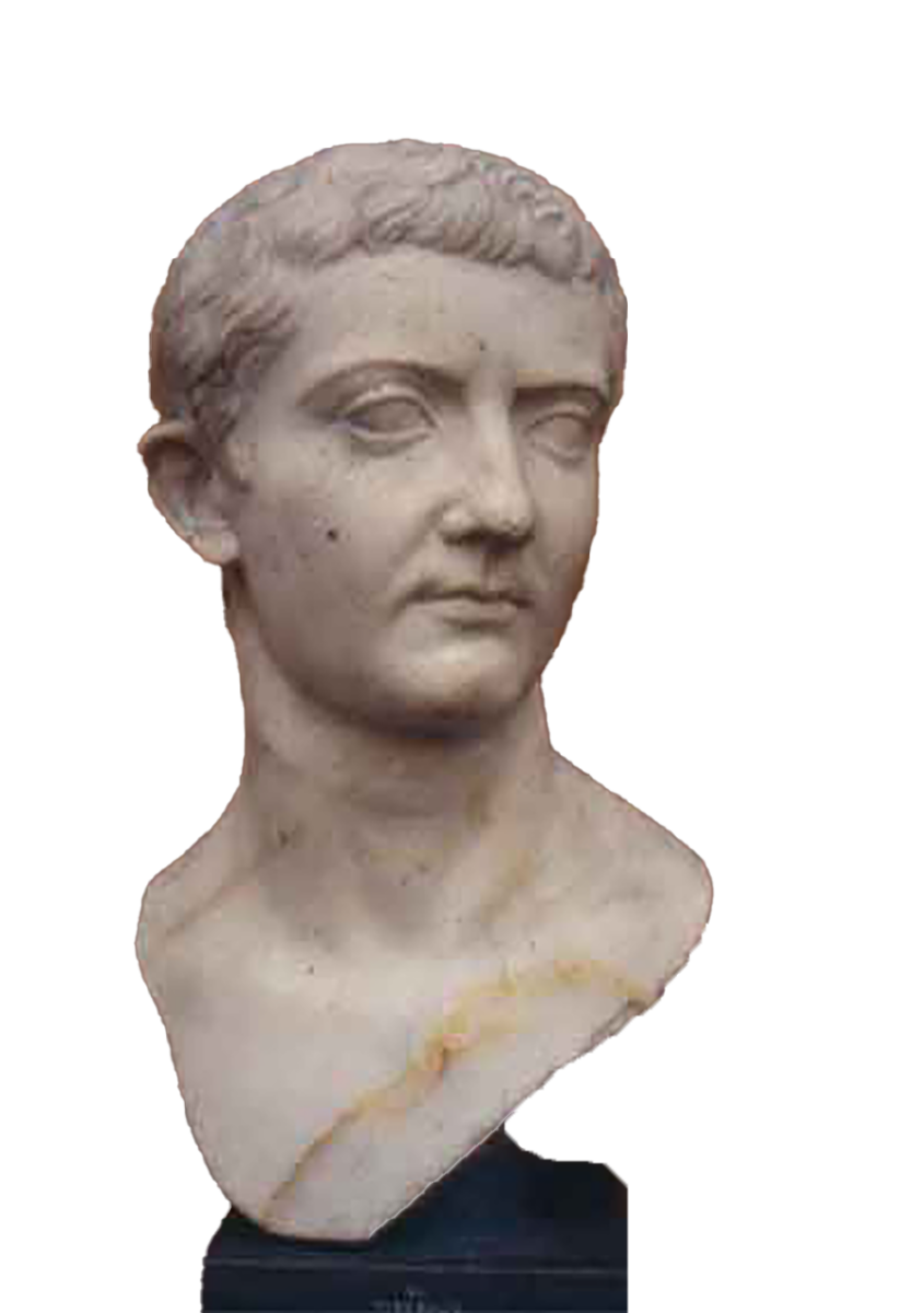 Chi siamo 3 Chi siamo svg+xml;charset=utf